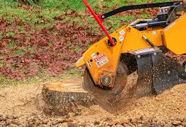 Best Pest Control for Lawns  in Englewood, OH