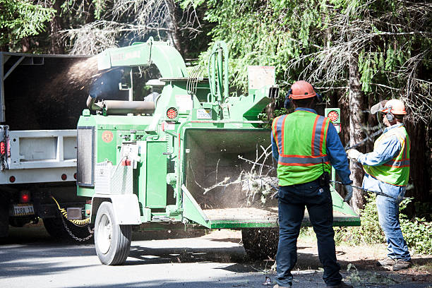 Best Seasonal Cleanup (Spring/Fall)  in Englewood, OH
